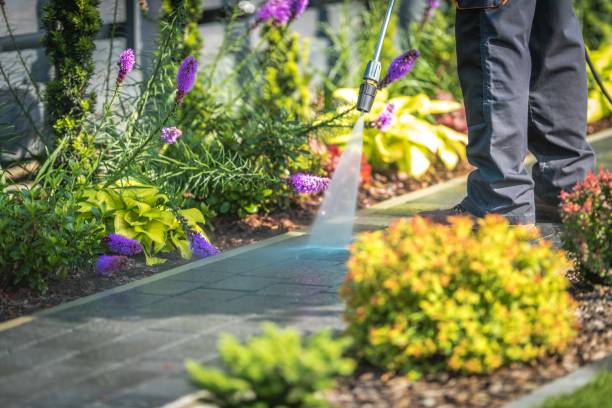 Best Sidewalk and Walkway Cleaning  in Plainview, TN