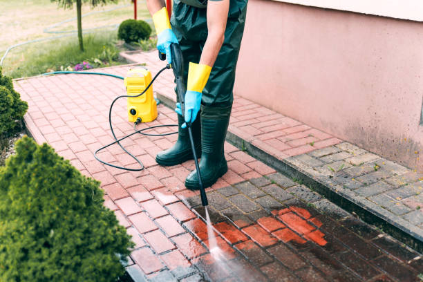 Best Driveway Pressure Washing  in Plainview, TN