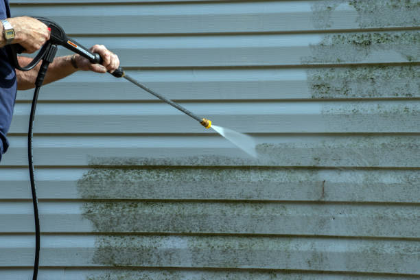Best Fence Cleaning  in Plainview, TN