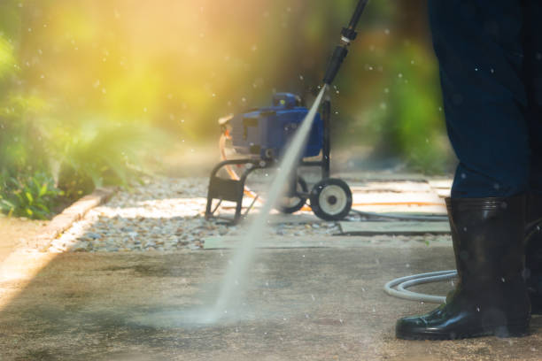 Best Soft Washing  in Plainview, TN